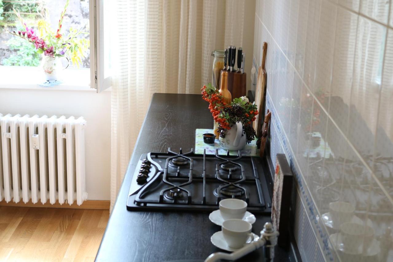Retro Big Apartment With Two Balconies And Lift Karlovy Vary Extérieur photo